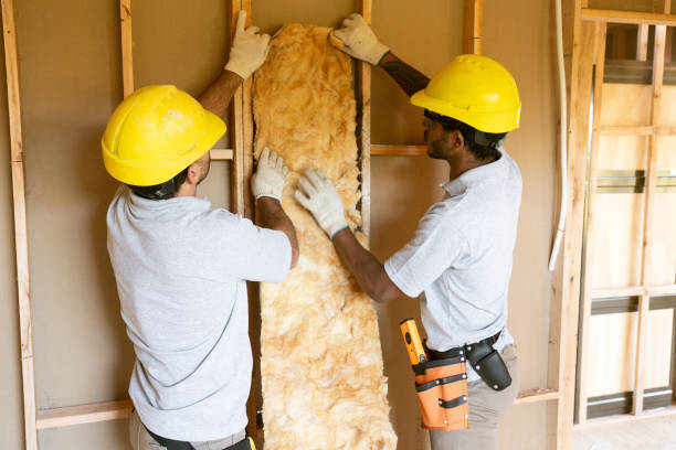 Best Insulation Removal  in Sharpsburg, NC