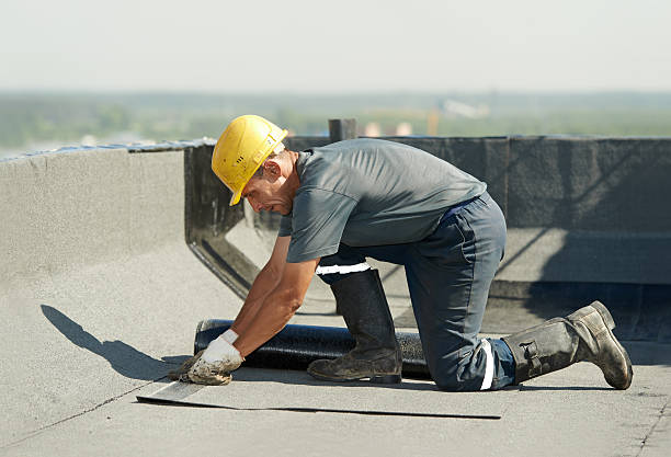 Best Professional Insulation Contractor  in Sharpsburg, NC